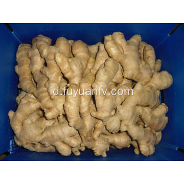 250g Air jahe kering